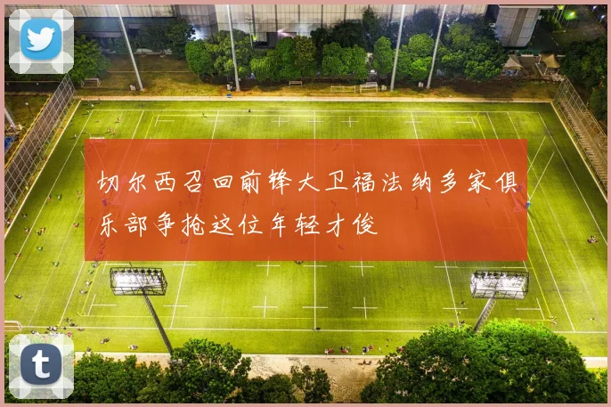 切尔西召回前锋大卫福法纳多家俱乐部争抢这位年轻才俊