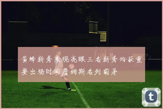 黄蜂新秀表现亮眼三名新秀均获重要出场时间詹姆斯名列前茅