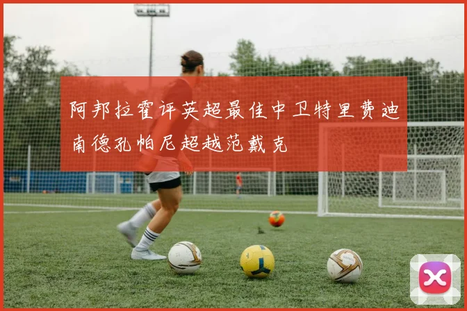 阿邦拉霍评英超最佳中卫特里费迪南德孔帕尼超越范戴克