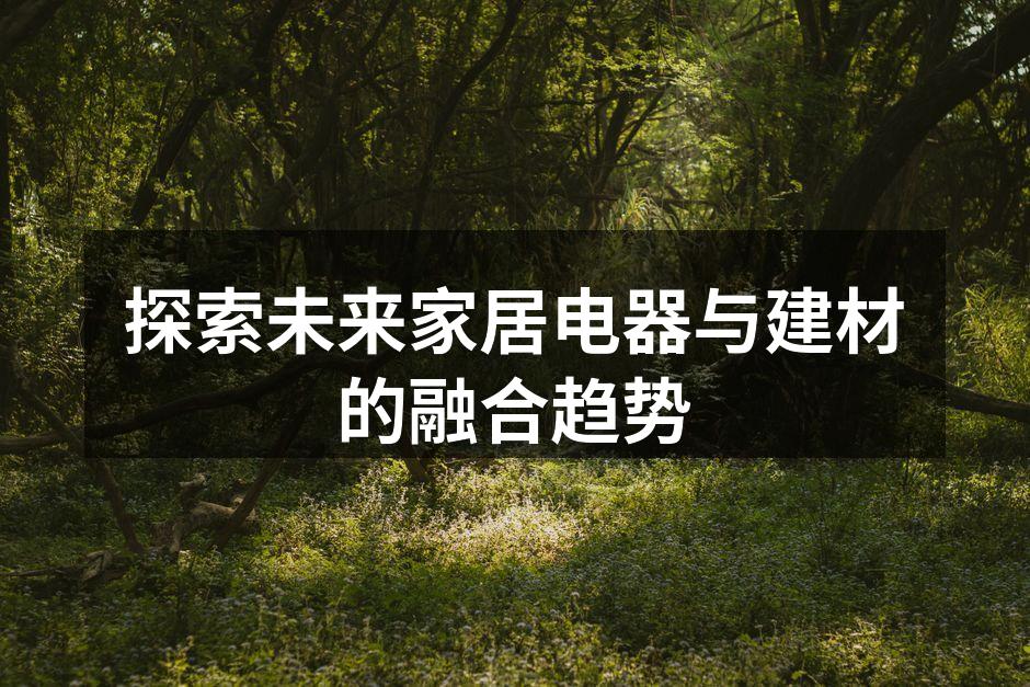 探索未来家居电器与建材的融合趋势
